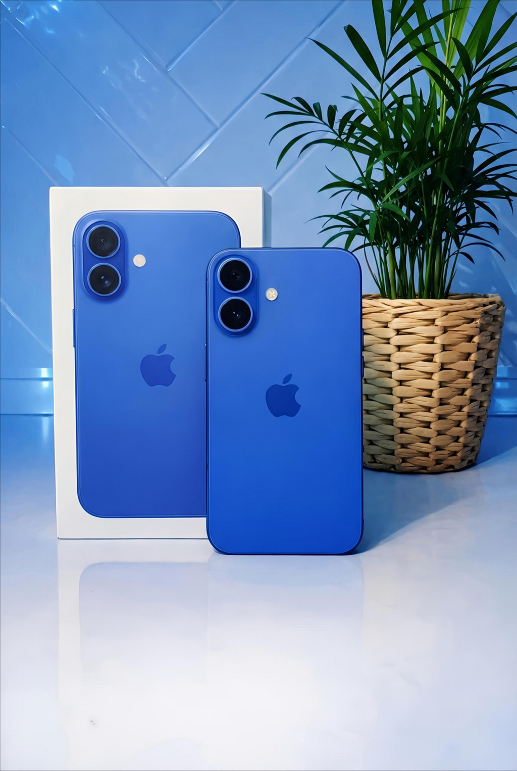 iPhone 16 Plus 